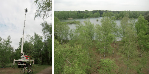 uitkijktoren Lommelse Sahara